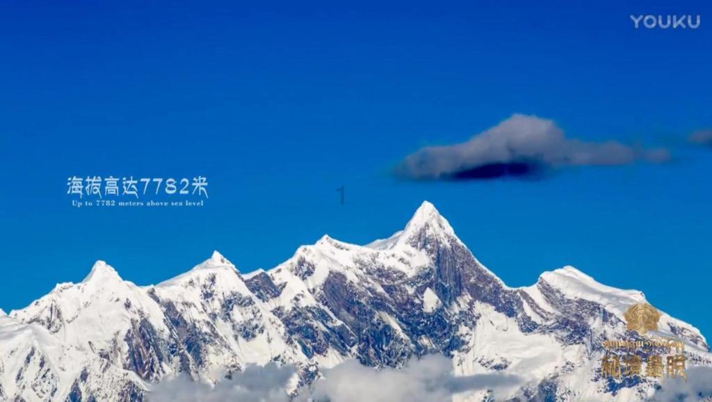铲屎官的日常,哈哈哈哈哈太形象了